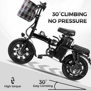 Electric Mobility